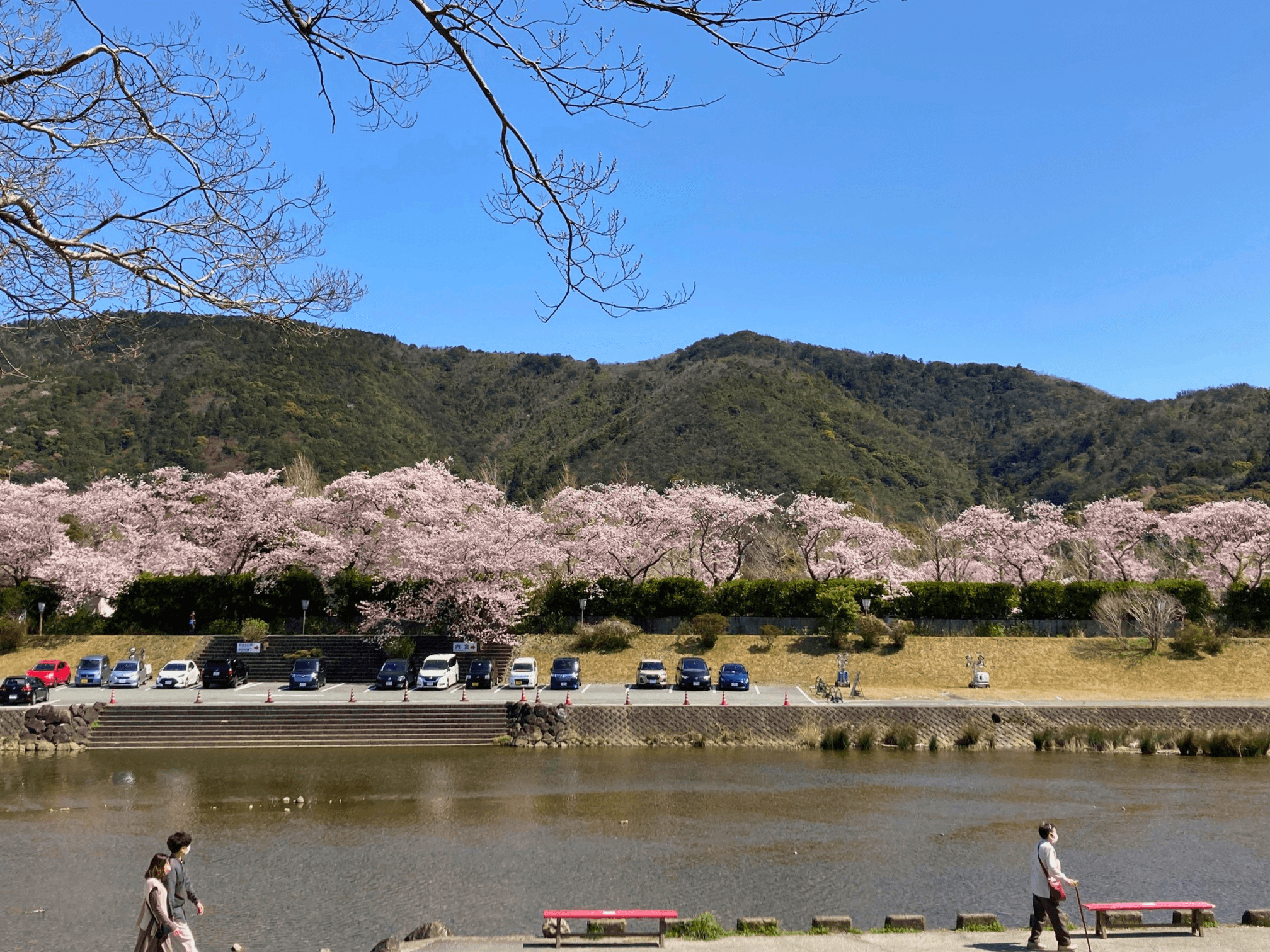 お花見ラウンジで来年度の予祝を 1