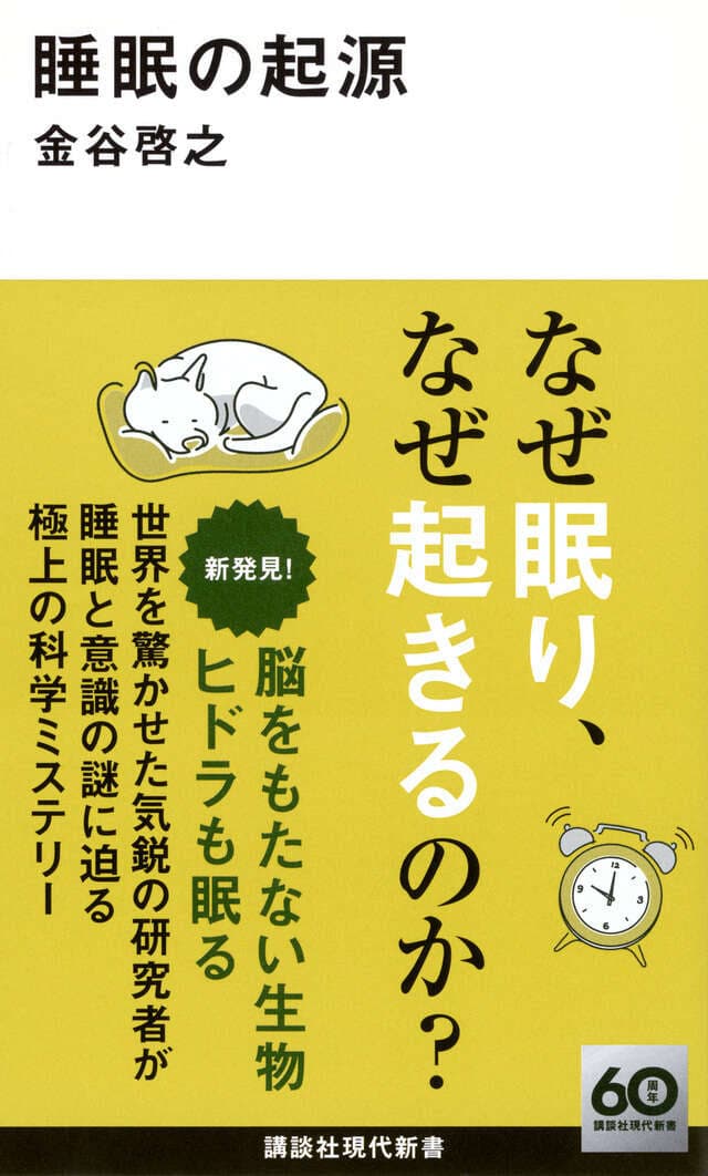 しるネル　体験レポート　～音が包んでくれる感覚～ 1