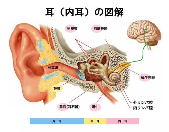 人間には12の感覚がある SENTIENT 1