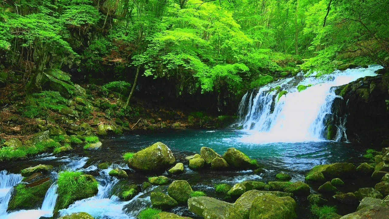 世界睡眠デーにちなんで 2