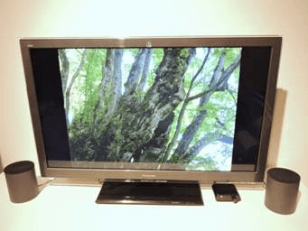 お部屋で楽しむ