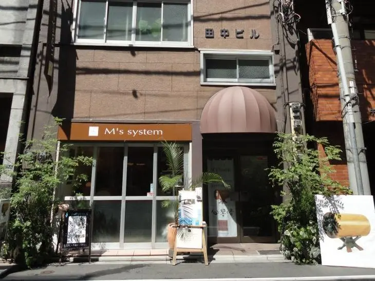 12. M's system