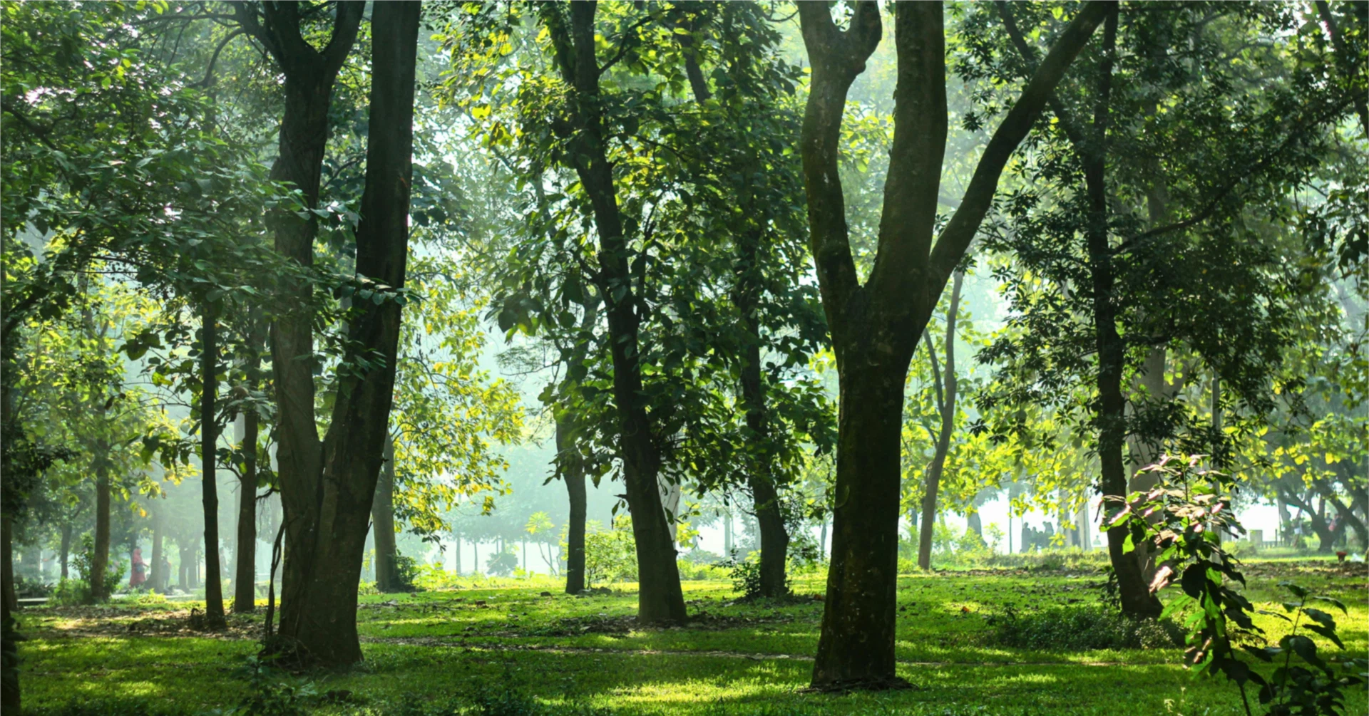音が整うと、呼吸が変わる ～なぜ私たちは「音の中で」生きているのか？〜