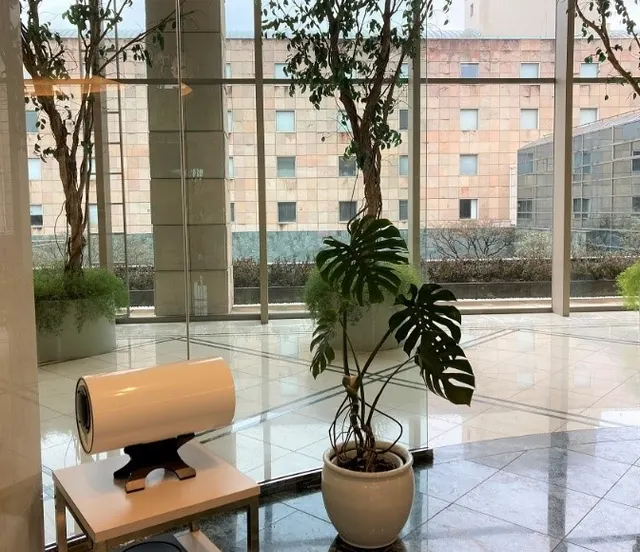 ビューティ＆ウェルネス専門職大学